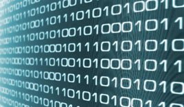 C# .net windows progrmmer